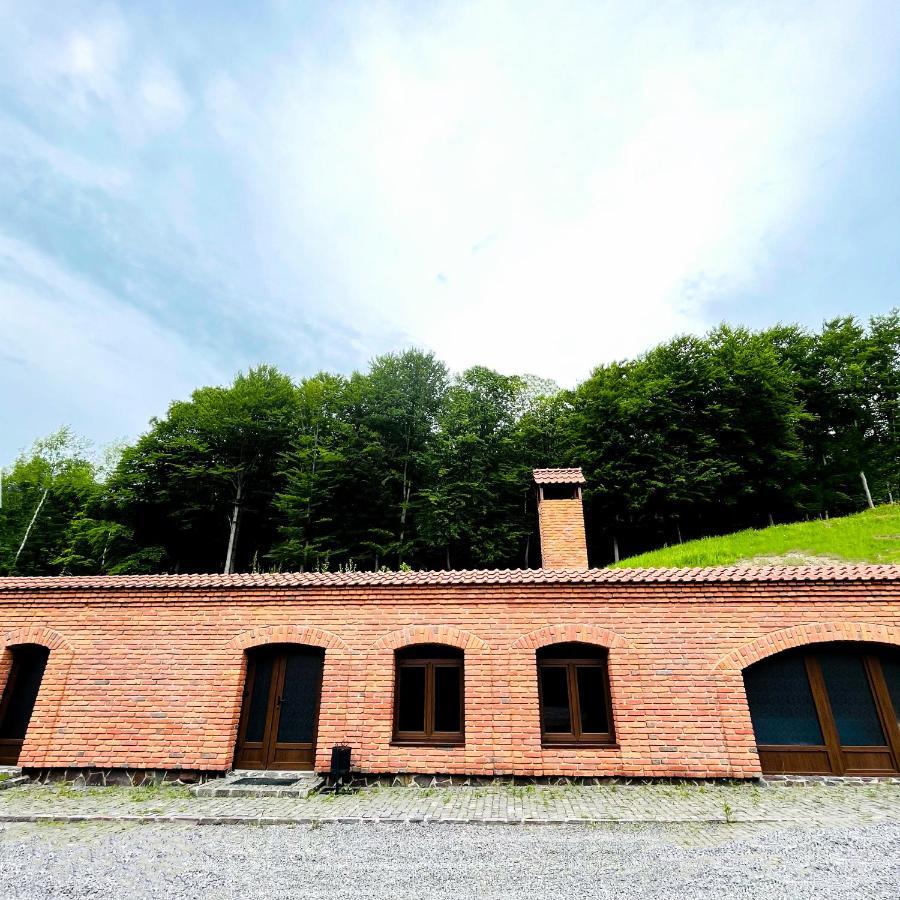 Комплекс Скала Villa Serednye Vodyane Exterior photo